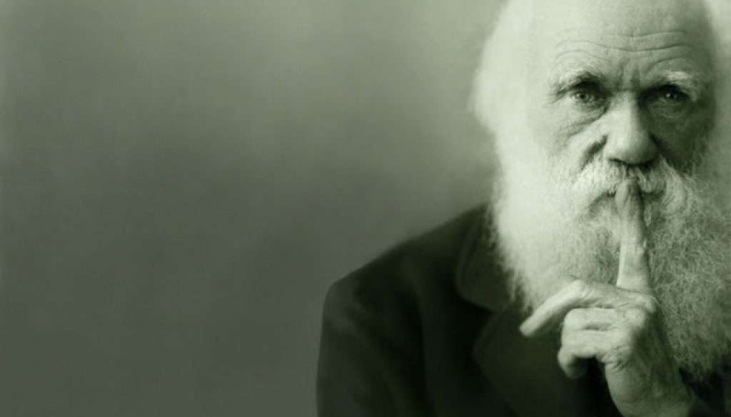darwin