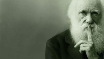 darwin