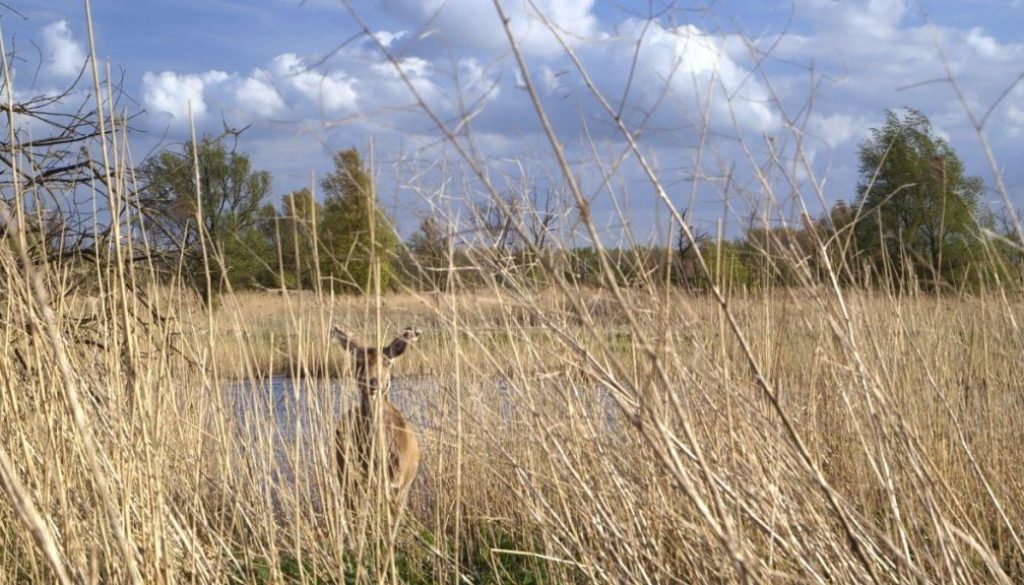 hoe-duur-is-natuur