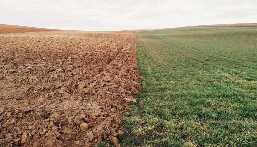 farmland-801817_1280-header