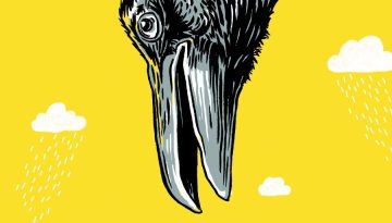 KK-webbeeld-horizontaal