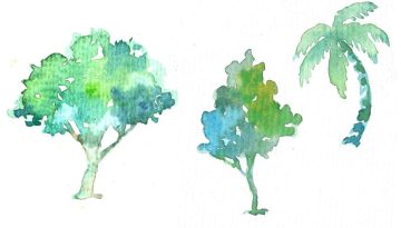 tree-747364_1920