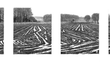 Wim-van-der-Meij-Sporen