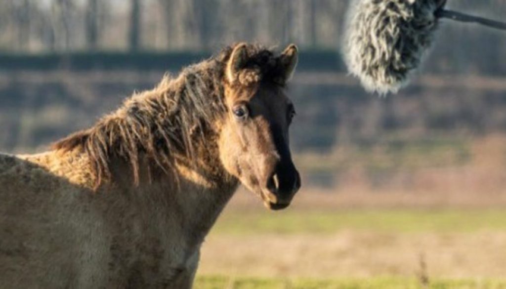 tegenlicht-natuur-websiteSlider